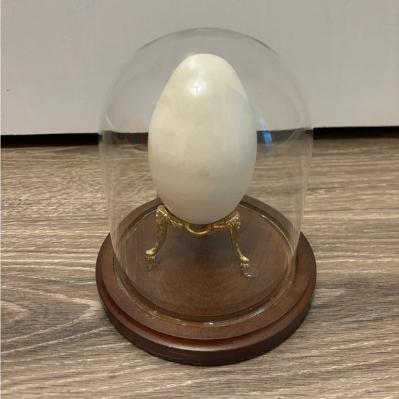 Handmade Carved Wedding Ostrich Egg Bride Groom In Display Case  One Of A Kind - Picture 2 of 2